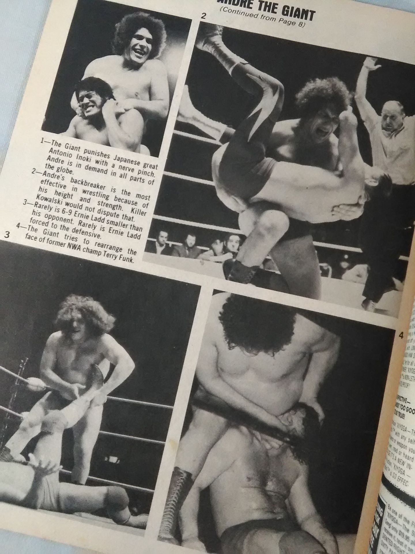 SPORTS REVIEW SERIES Wrestling PICTURE BOOK Spring 1980 Issue