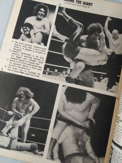 SPORTS REVIEW SERIES Wrestling PICTURE BOOK Spring 1980 Issue