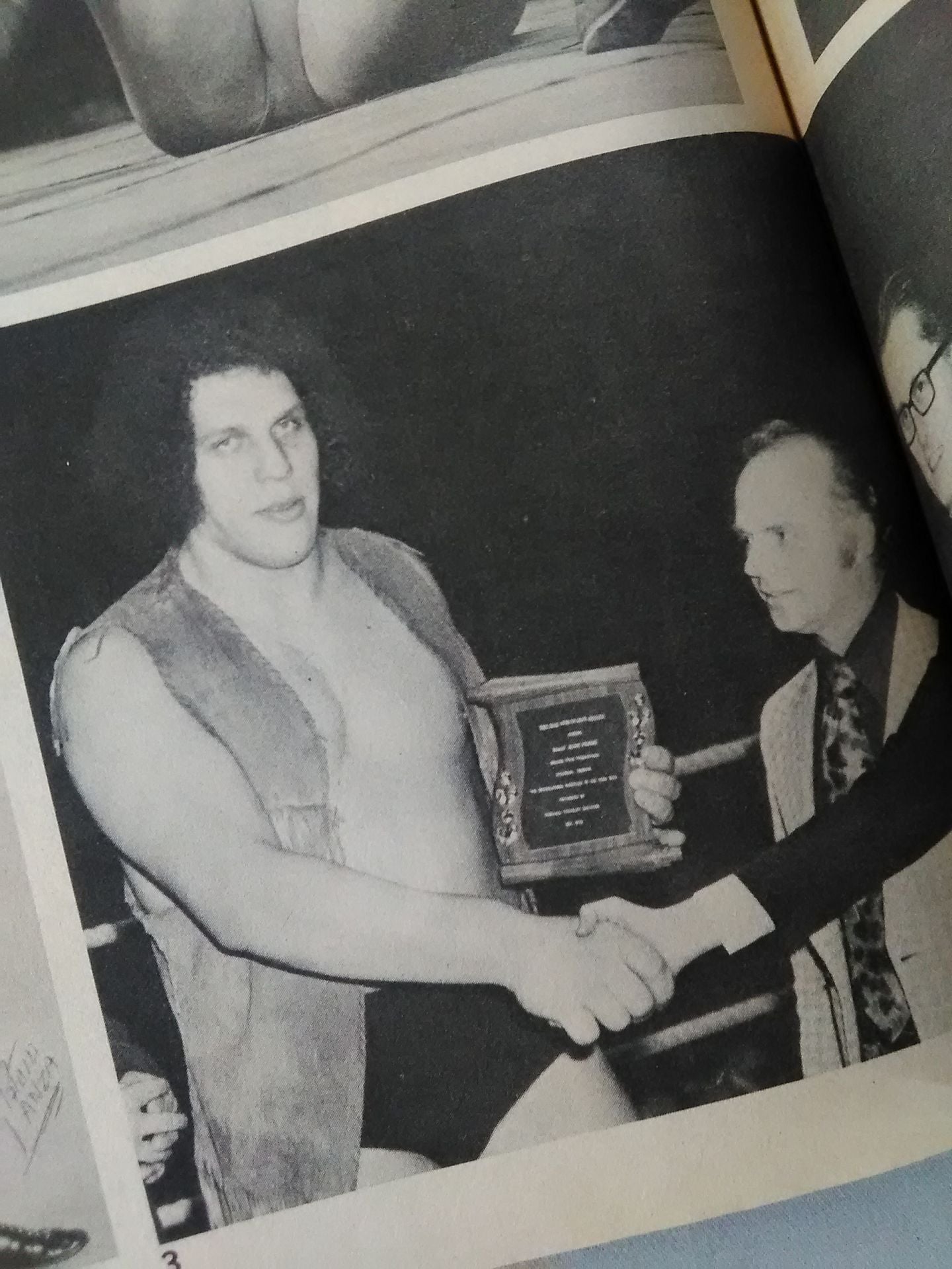 SPORTS REVIEW SERIES Wrestling PICTURE BOOK Spring 1980 Issue