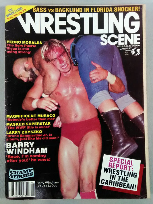WRESTLING SCENE Vol.11