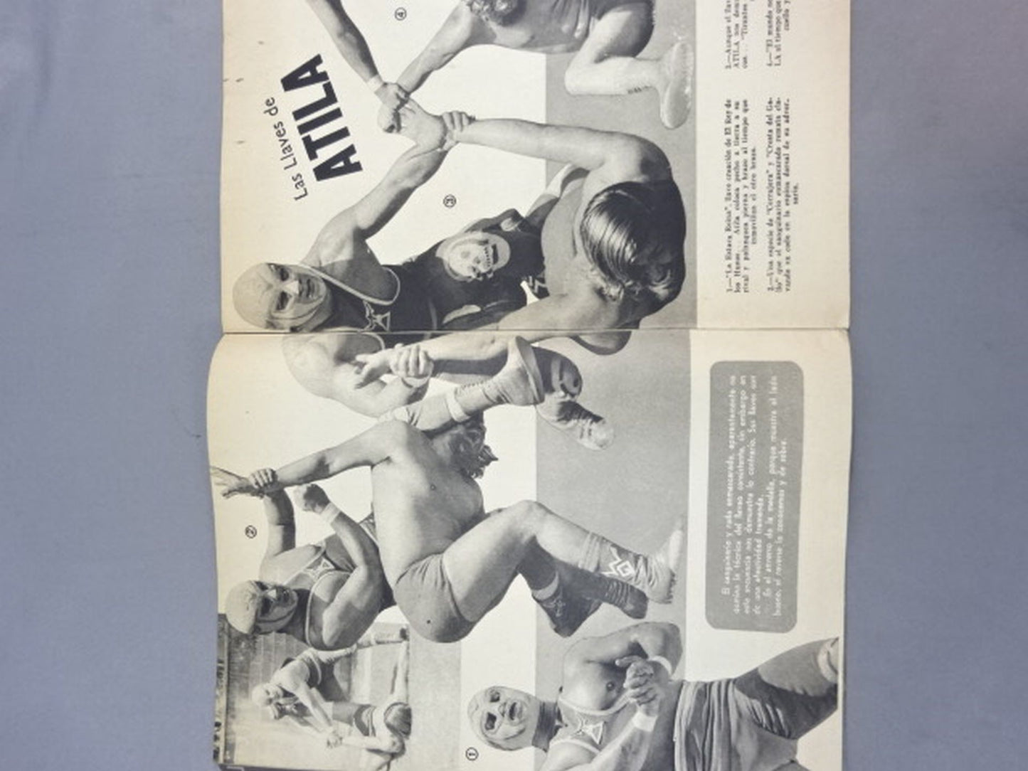 LUCHA LIBRE No.582
