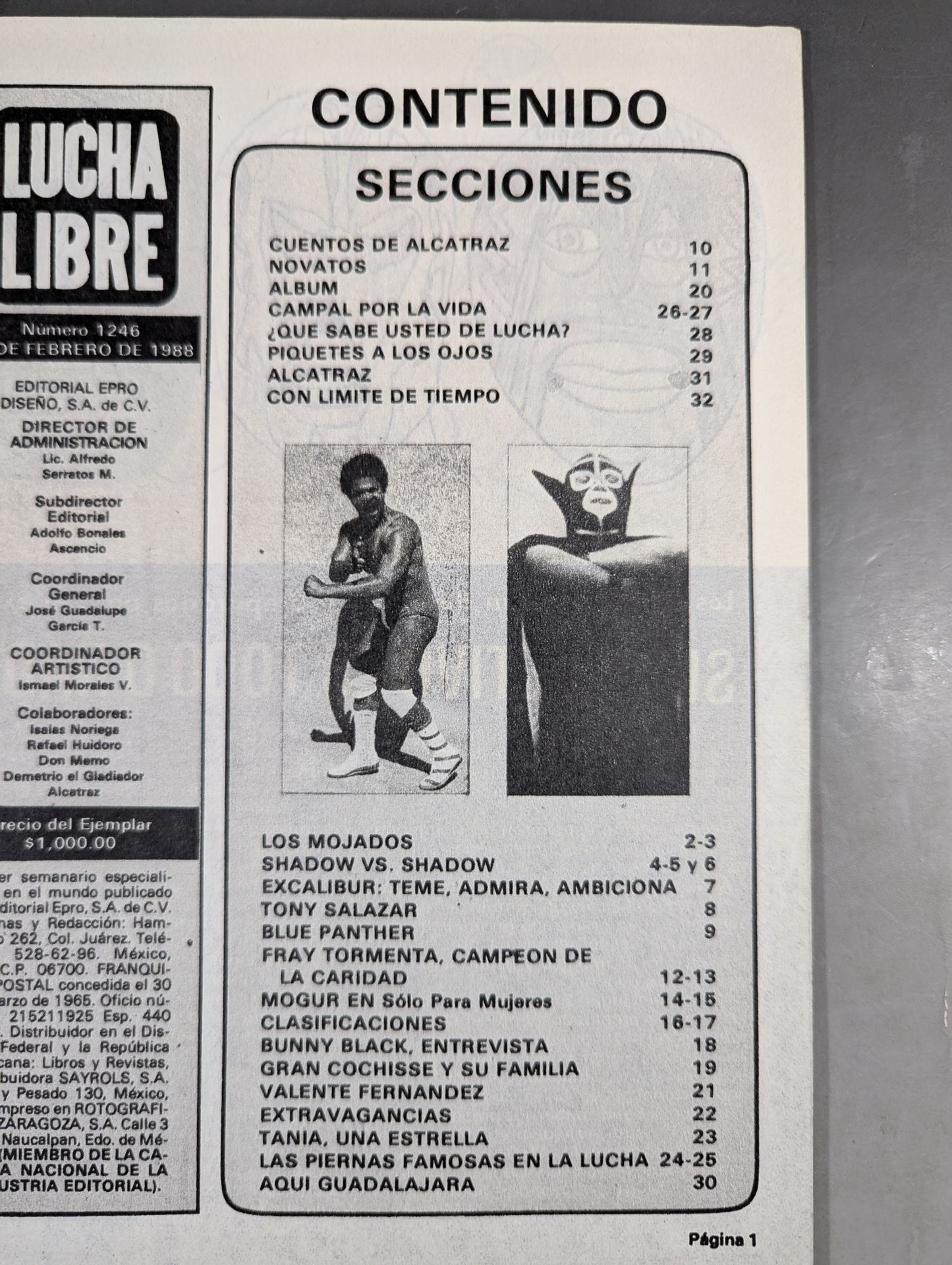 LUCHA LIBRE1247