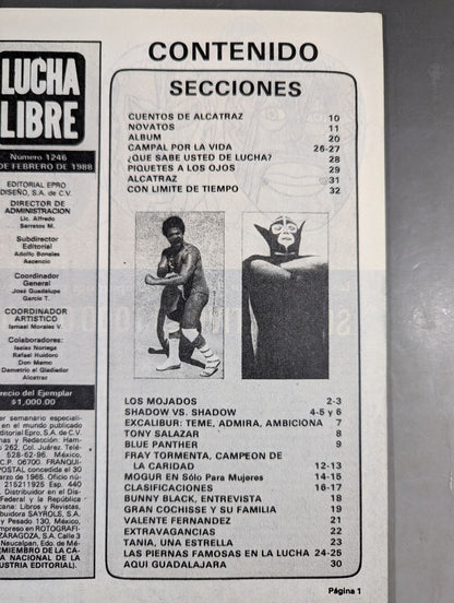 LUCHA LIBRE1247