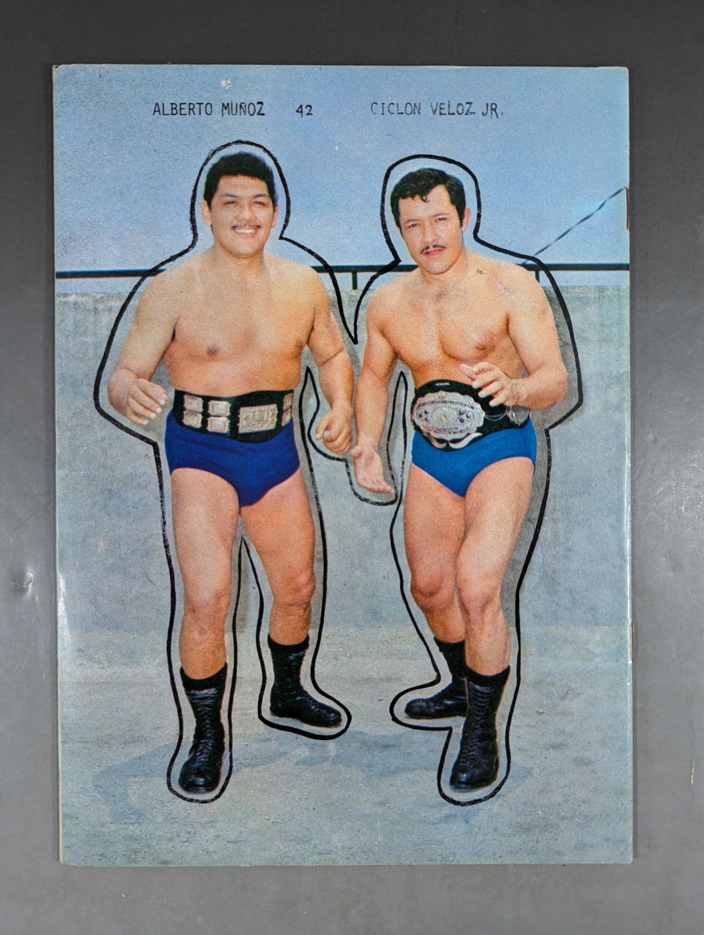 LUCHA LIBRE1247