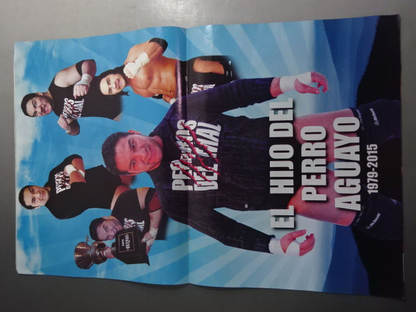 ★ペリート追悼号★ LUCHAS 2000 No.767