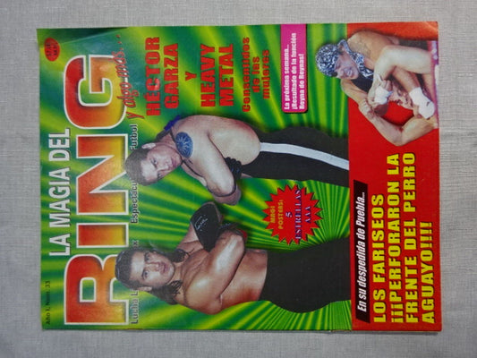LA MAGIA DEL RING No.33