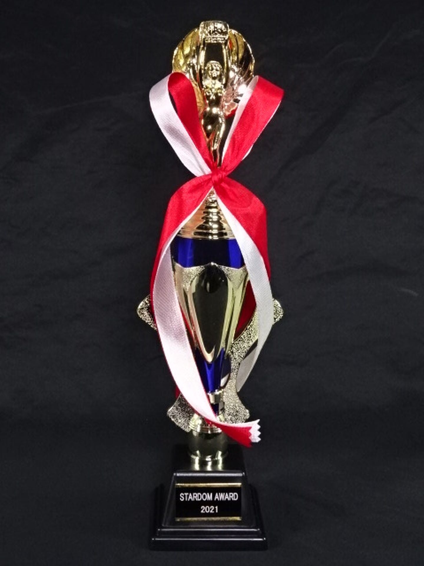 ★STARDOM AWARD 2021★ レプリカ記念トロフィー