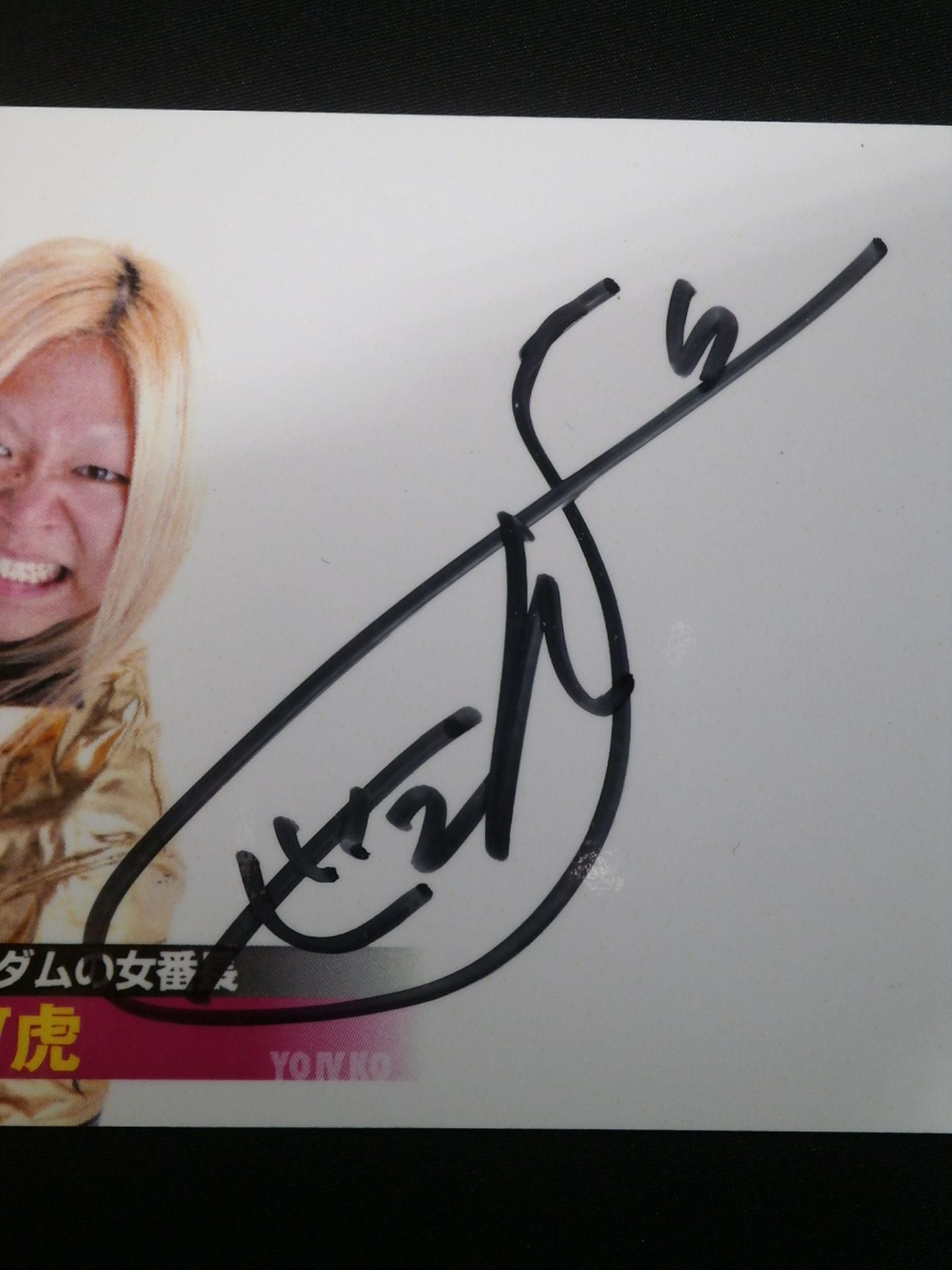 STARDOM COLLECTION CARD 2013 IV Tiger Official autographed card