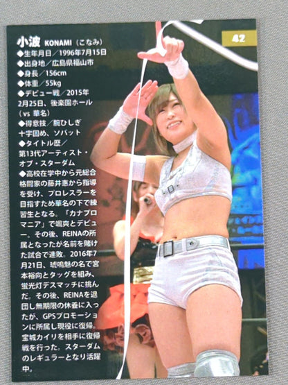 2017 STARDOM COLLECTION CARD 小波(42)