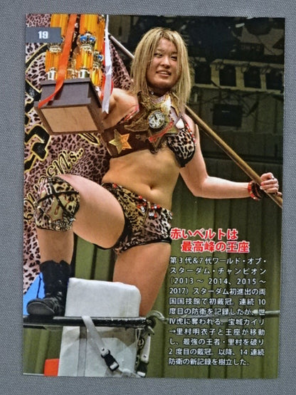 2018 IO SHIRAI MEMORIAL COLLECTION CARD 紫雷イオ(19)
