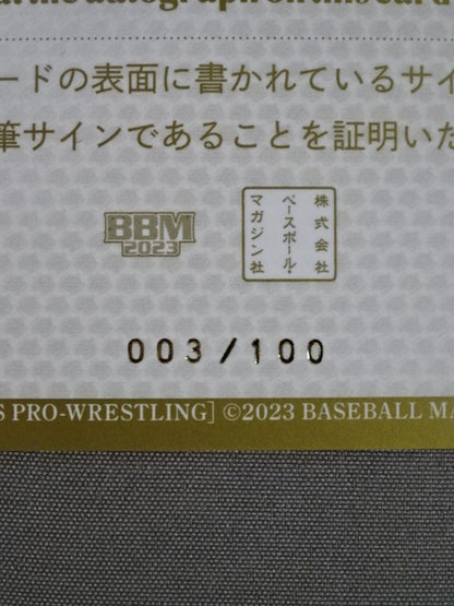 2023 BBM 辰巳リカ 公式サインカード