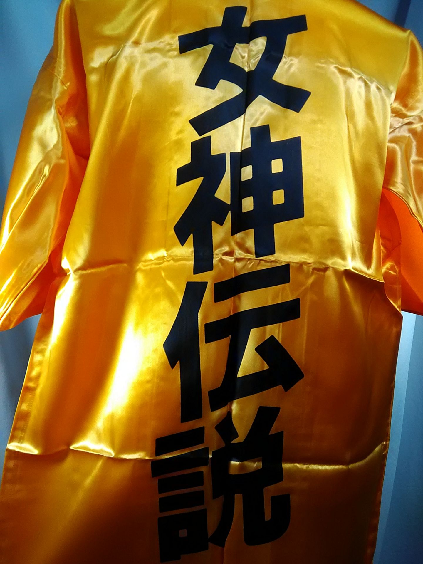 女神伝説 法被