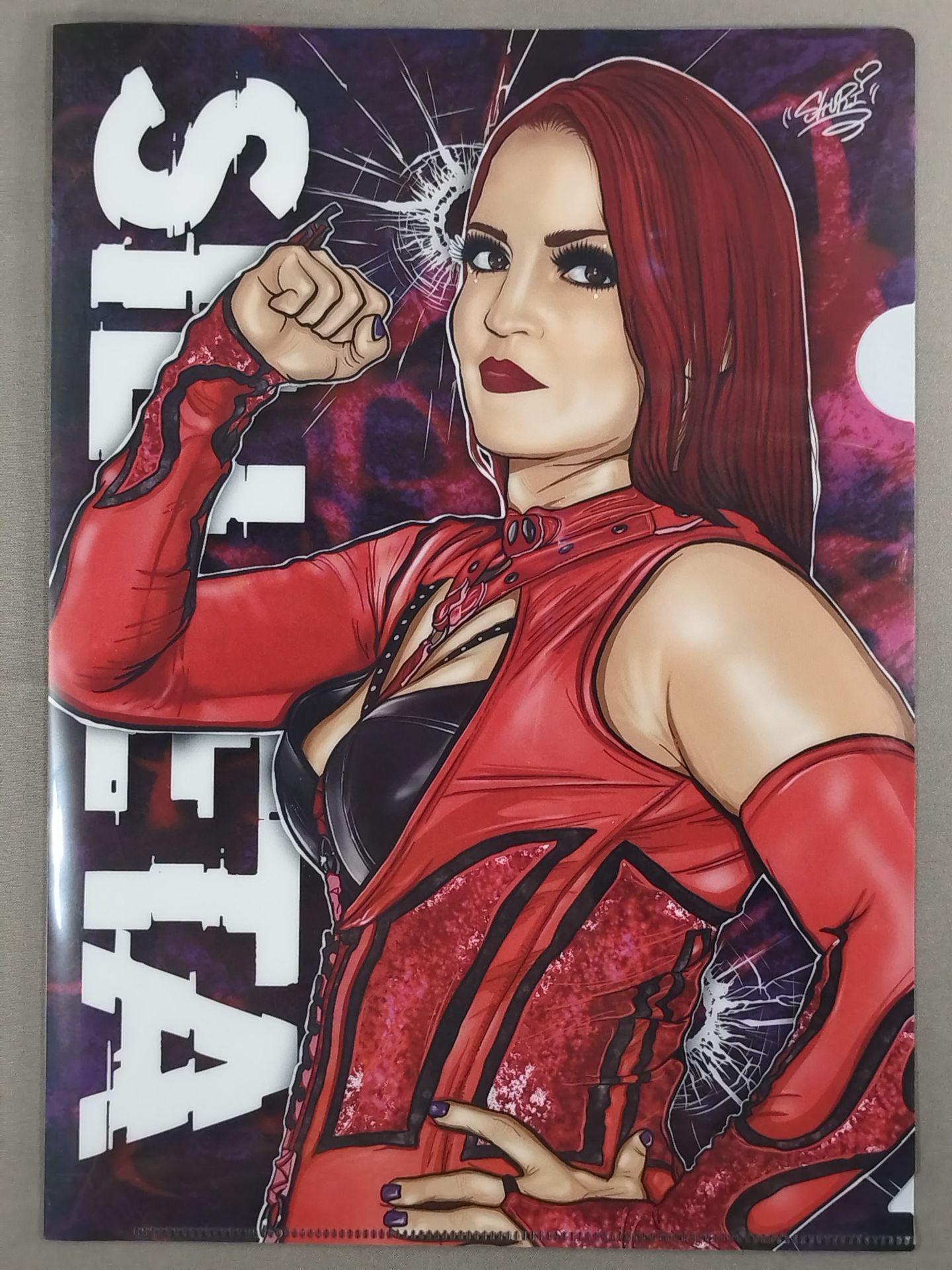 Silueta plastic file folder