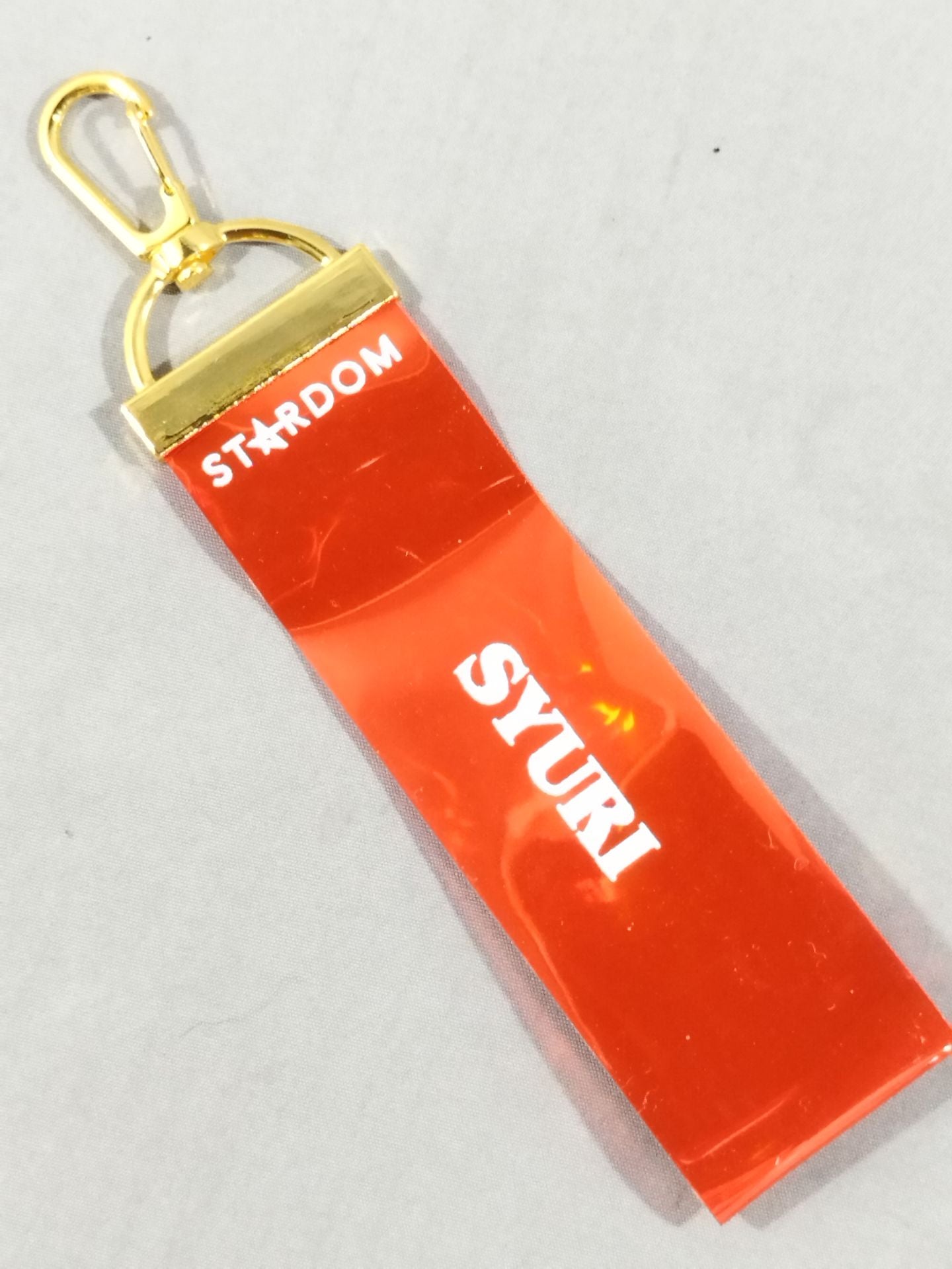 Zhu Li Random Aurora Keychain