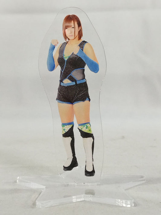 美闘陽子 アクリルスタンド 2017