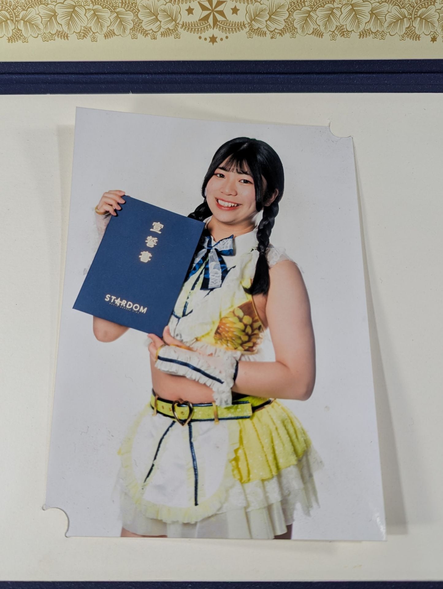 羽南 宣誓書セット