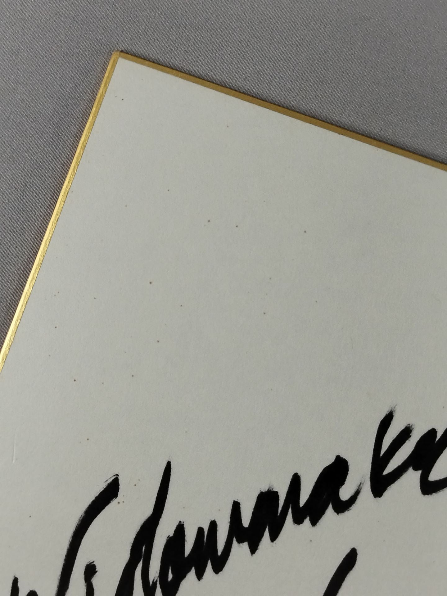 エンジェル・ウィリアムス