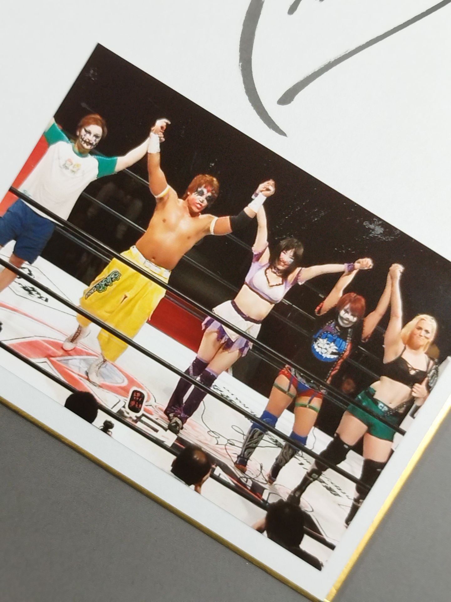 キャット・パワー(生写真貼付)