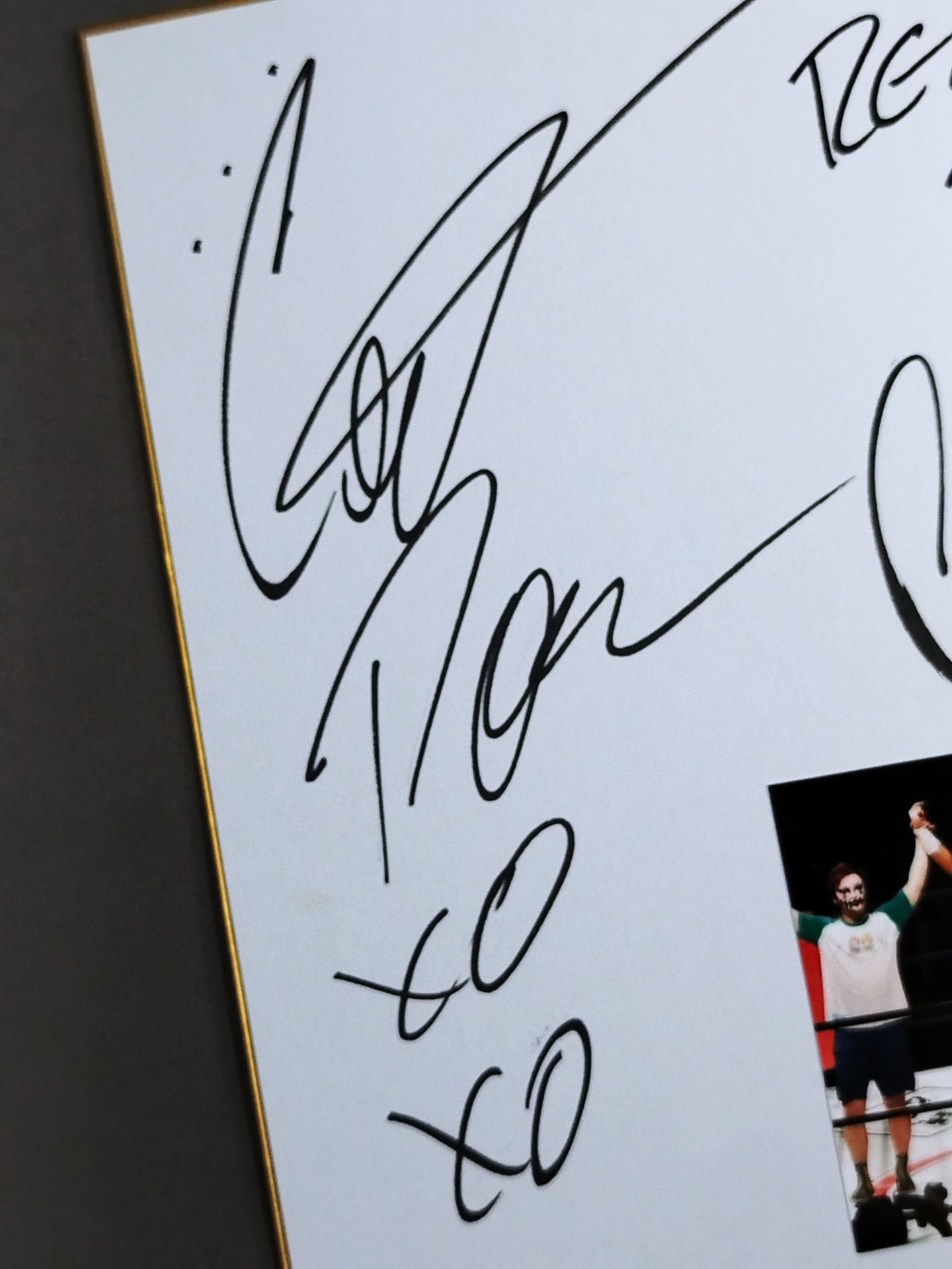 キャット・パワー(生写真貼付)