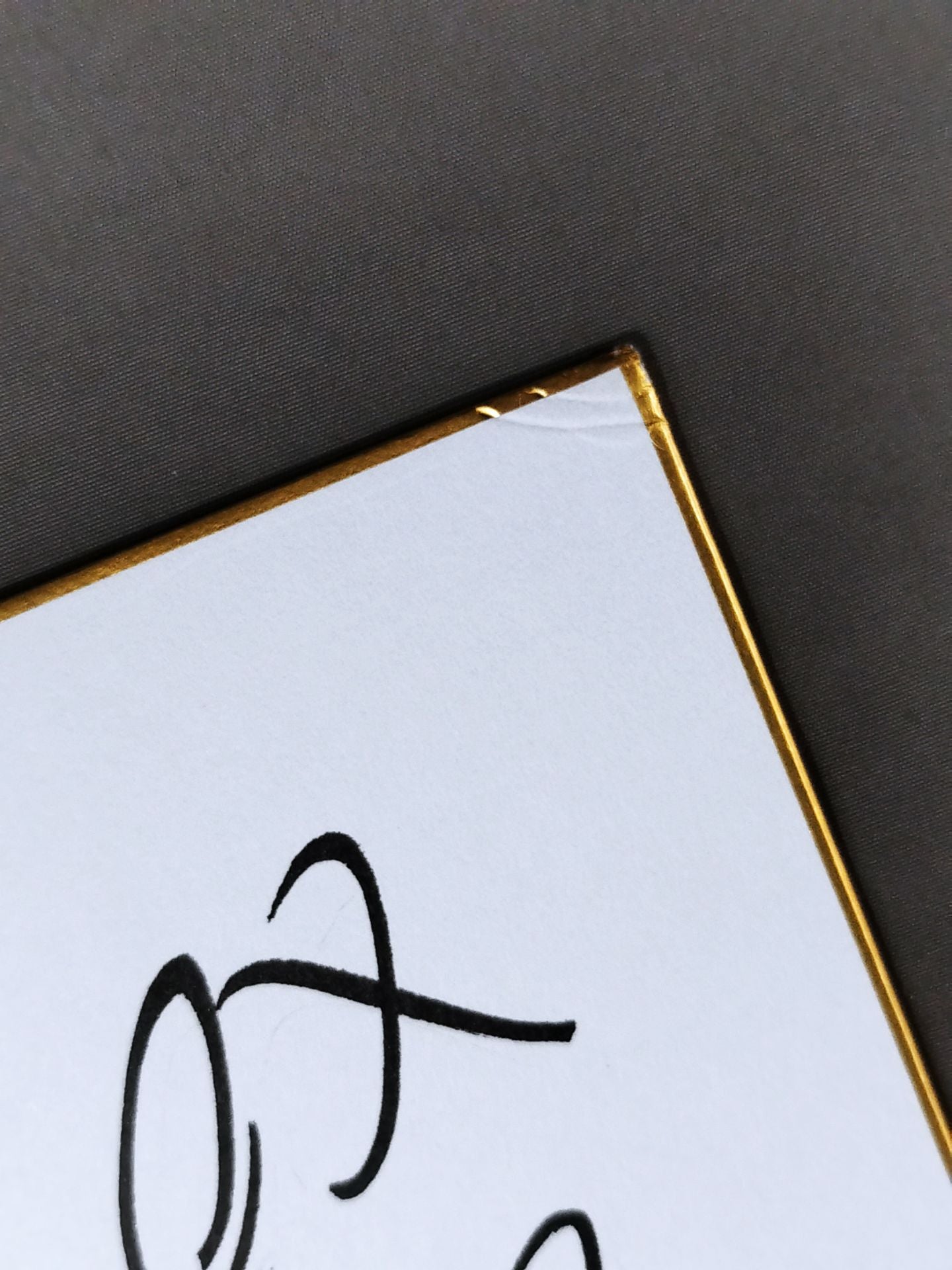 キャット・パワー(生写真貼付)