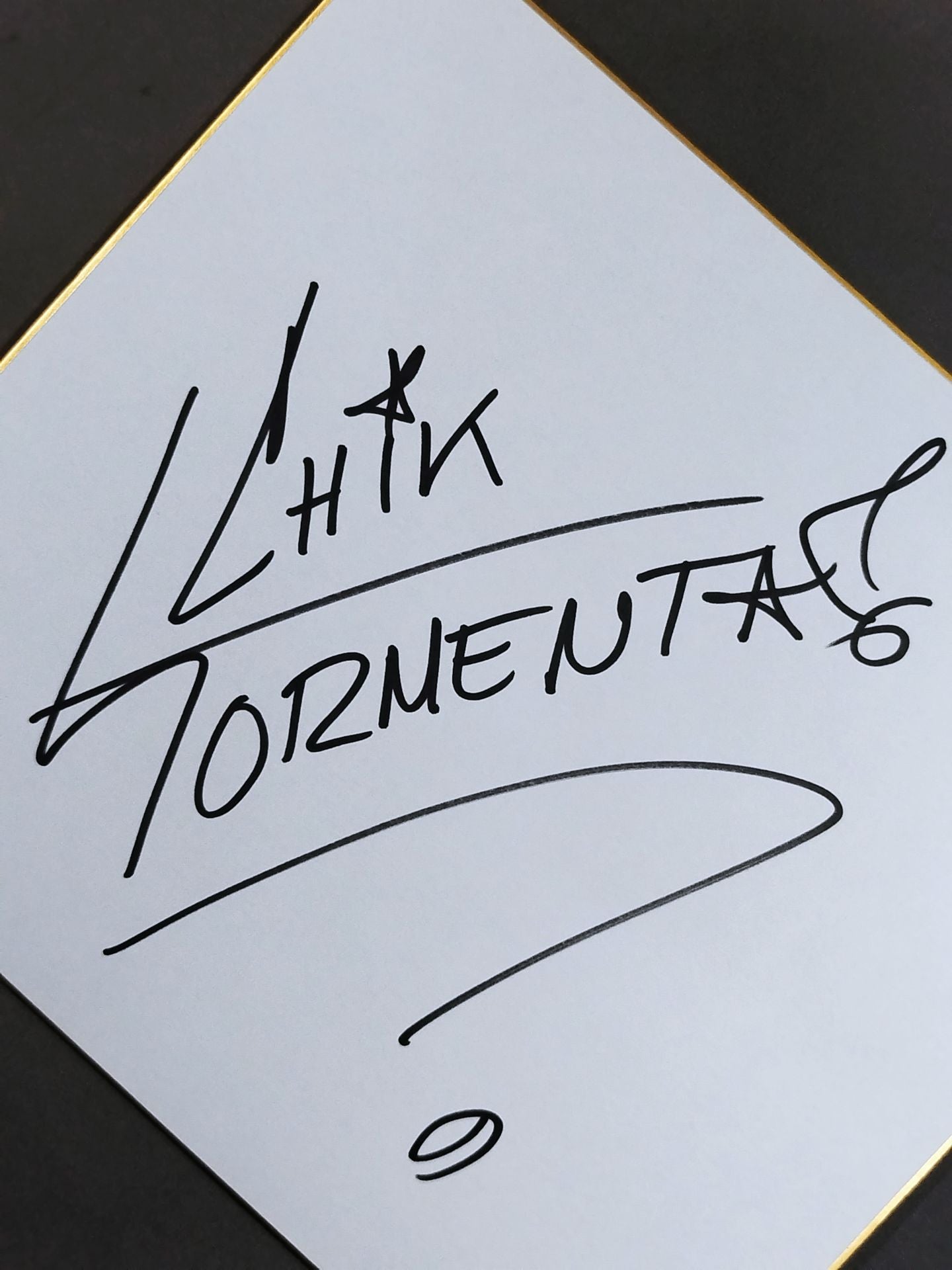 チカ・トルメンタ(レディ・ストーム)