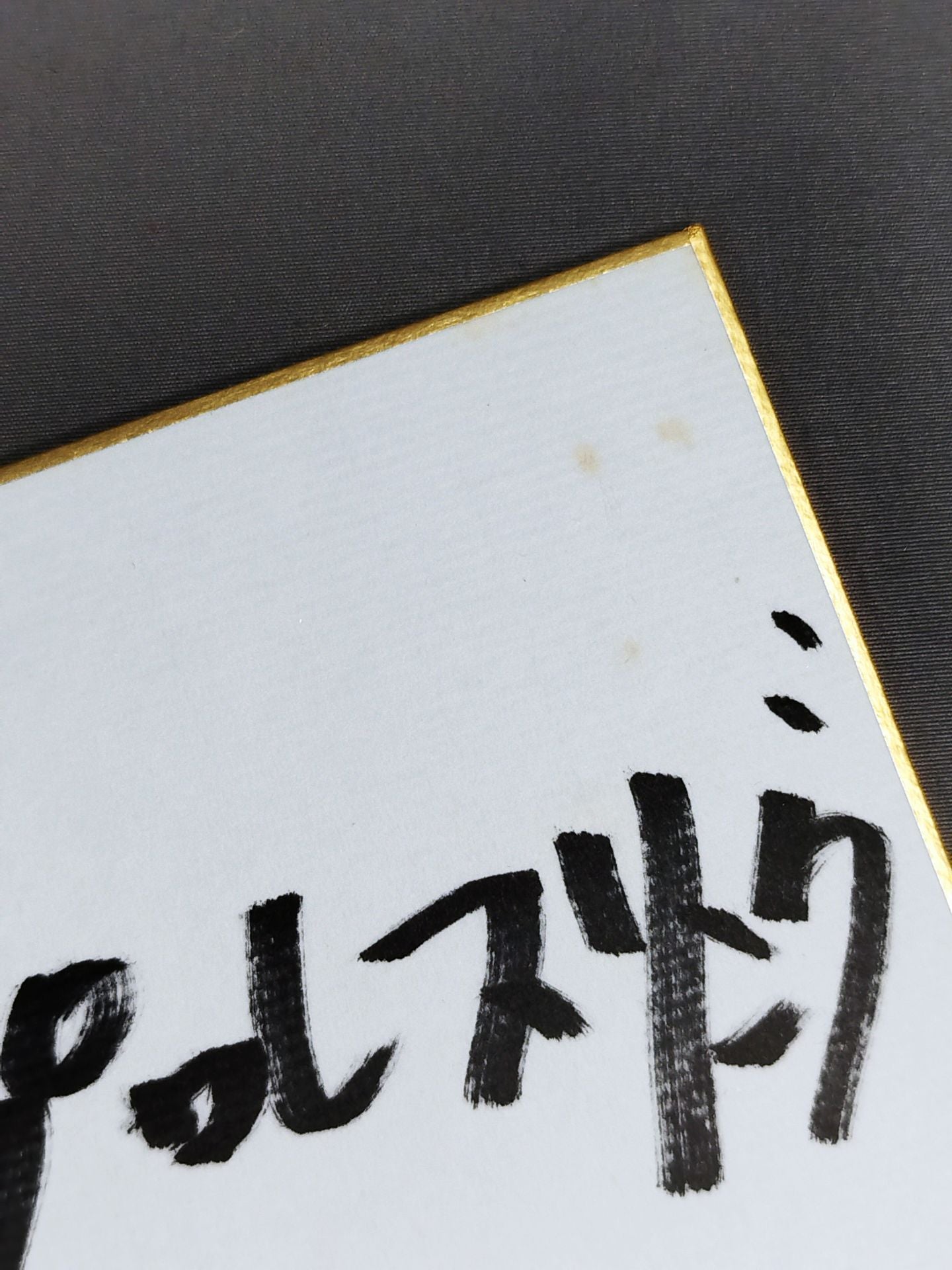 前田絵美(レフェリー)