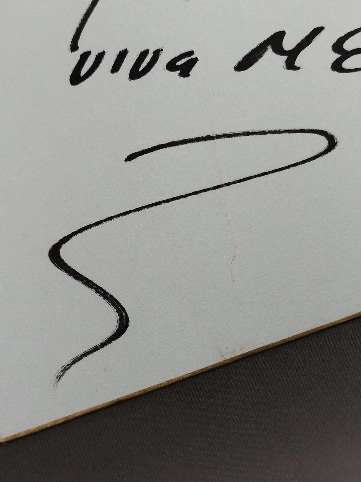 マルセラ