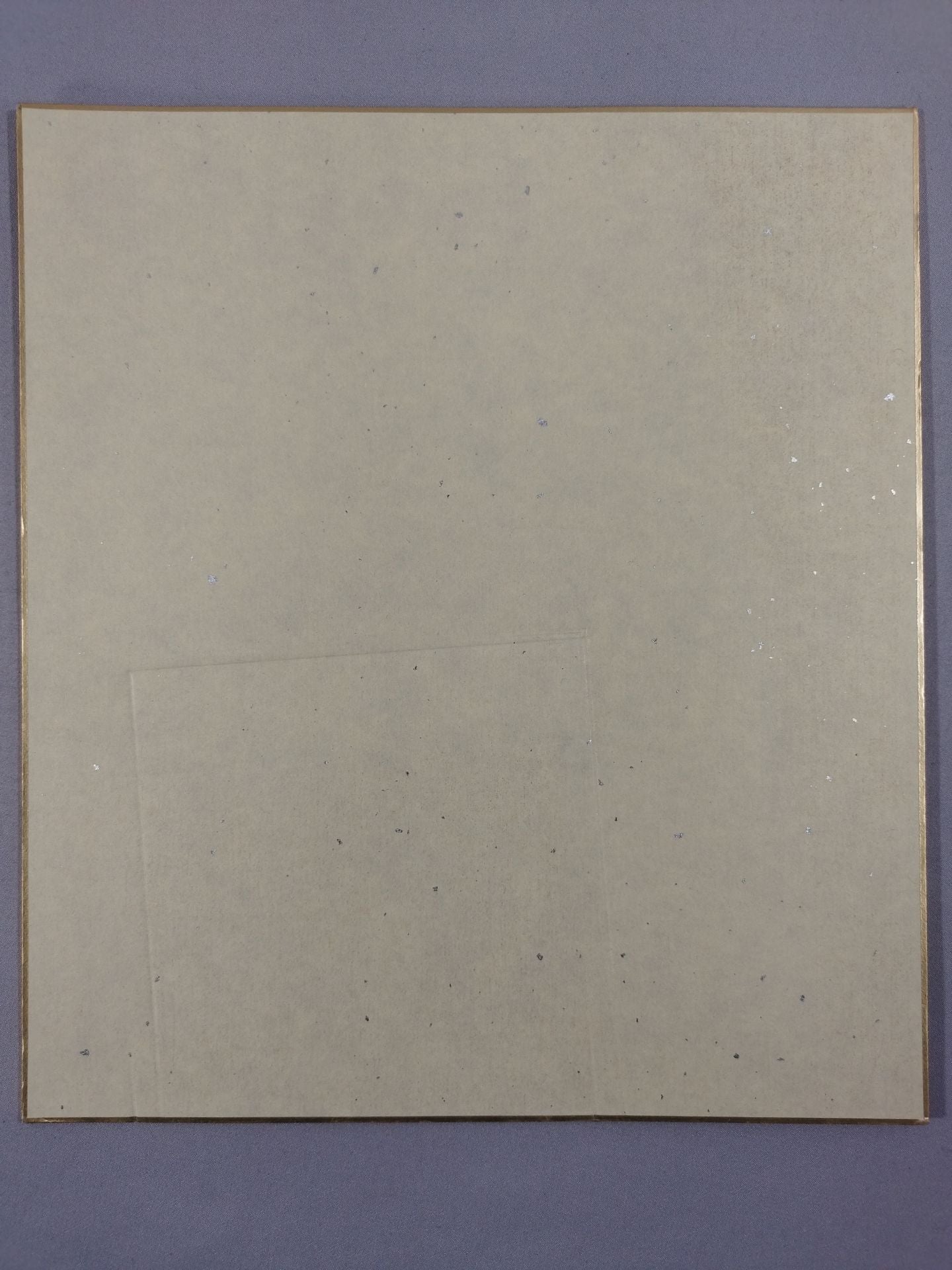 野崎渚(ブロマイド貼付)