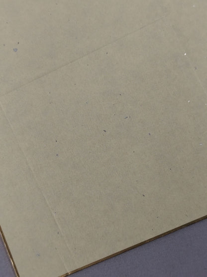 野崎渚(ブロマイド貼付)