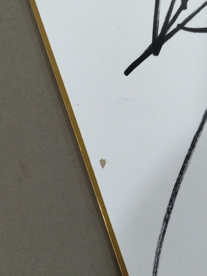 紫雷美央＆フェアリー日本橋