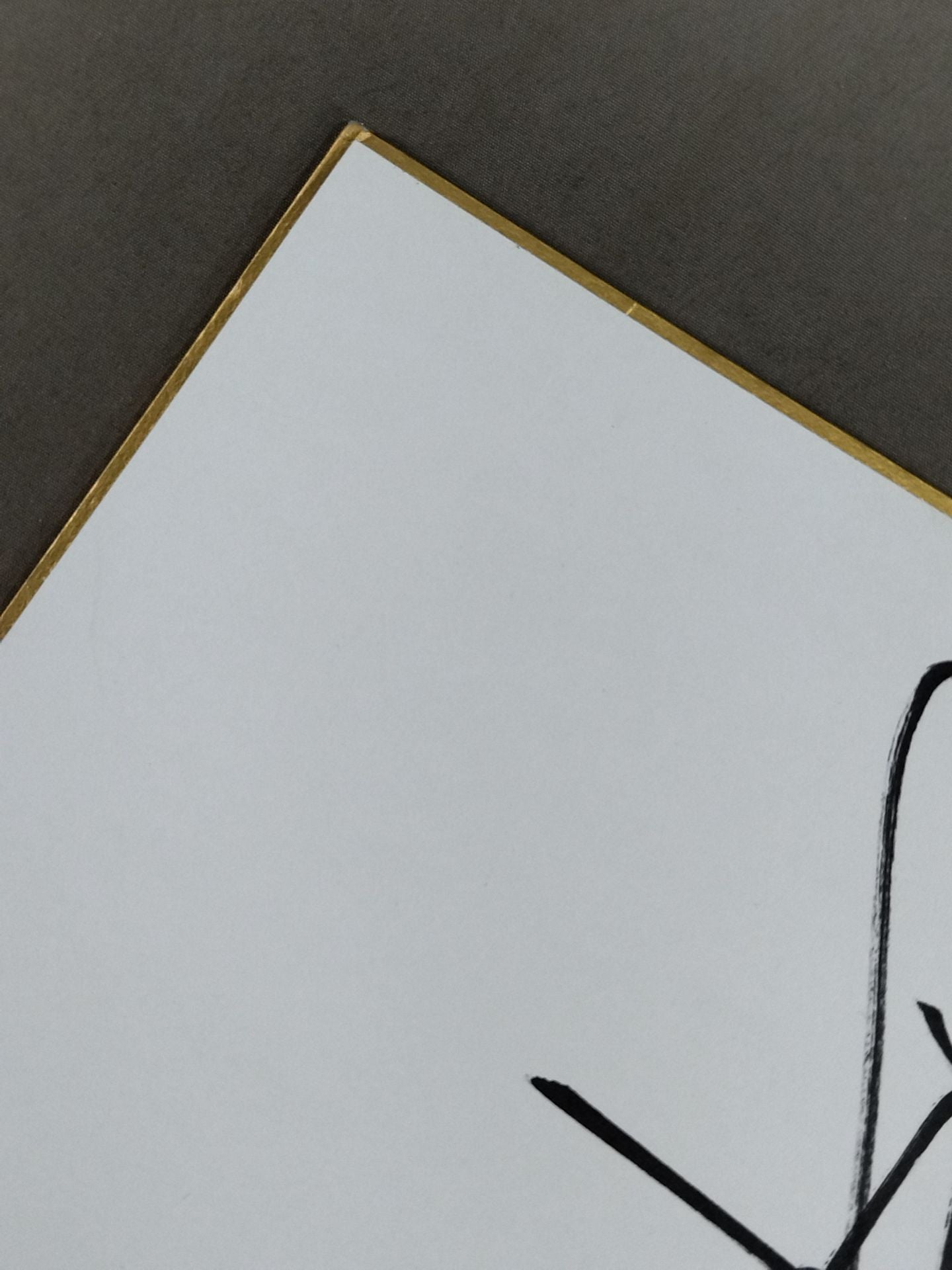 紫雷美央＆フェアリー日本橋