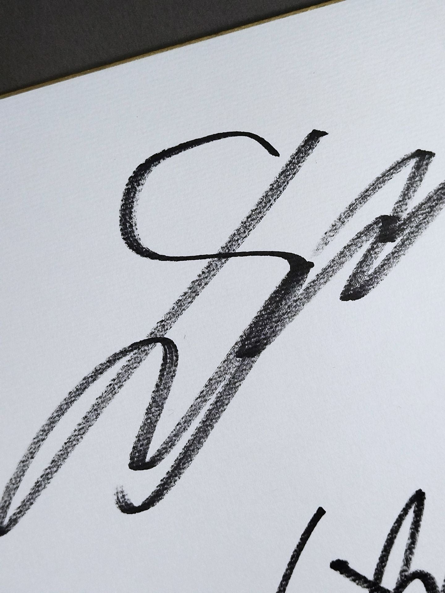 ★海賊姫が往く★ カイリ・セイン＆風香＆愛川ゆず季