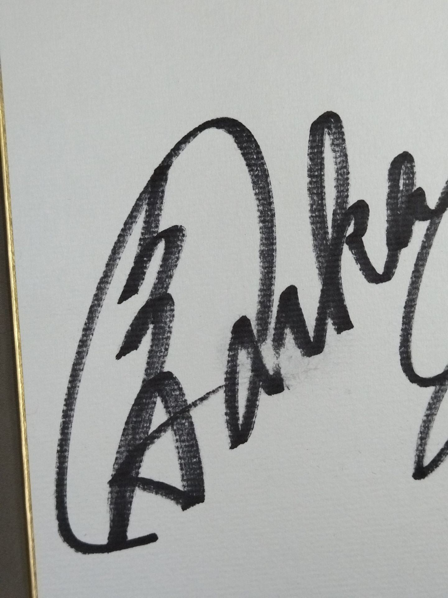 ★海賊姫が往く★ カイリ・セイン＆風香＆愛川ゆず季