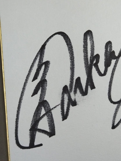 ★海賊姫が往く★ カイリ・セイン＆風香＆愛川ゆず季