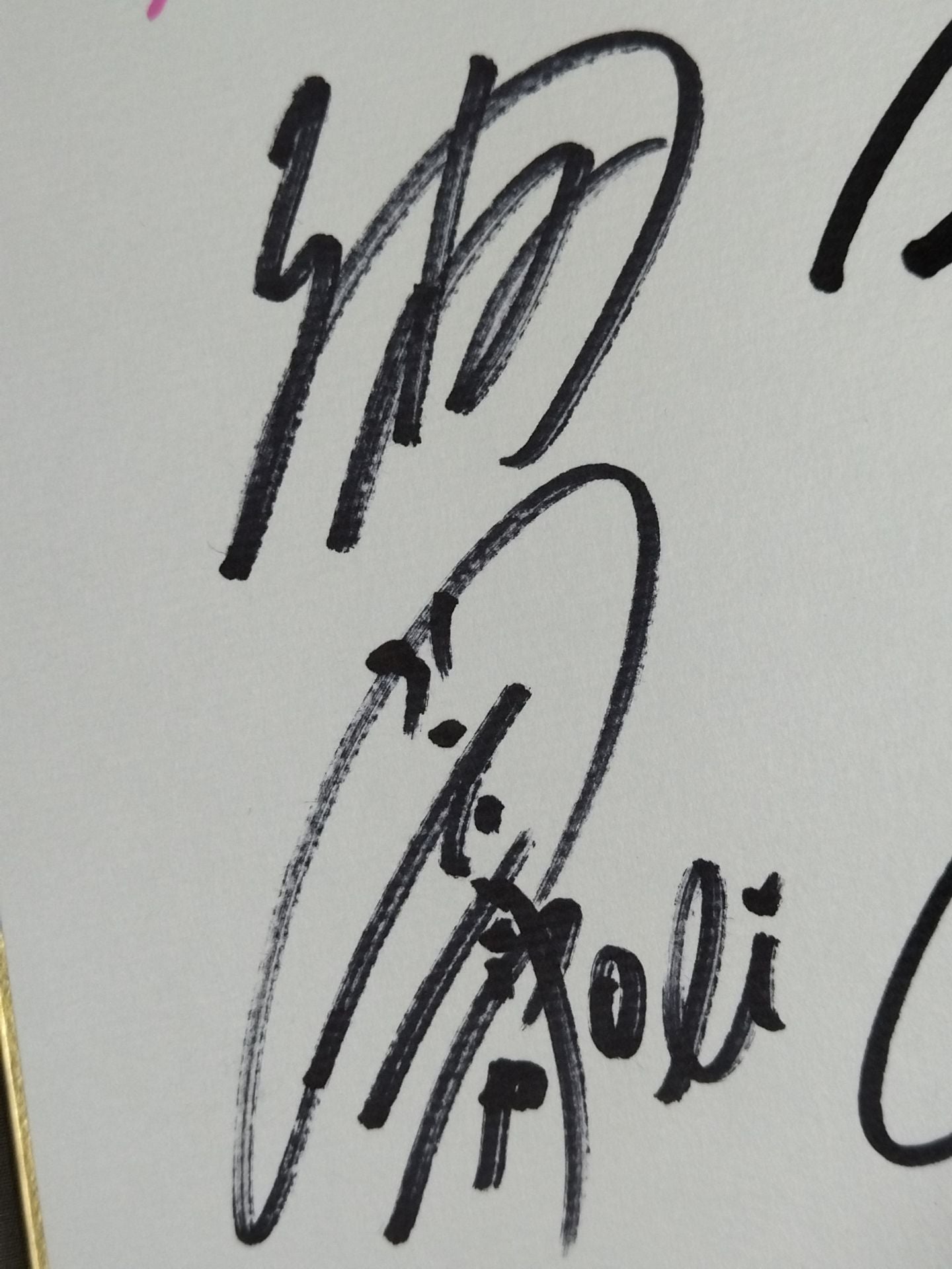 ★チェリーバースデー興行Return★ 参戦8選手 寄せ書き