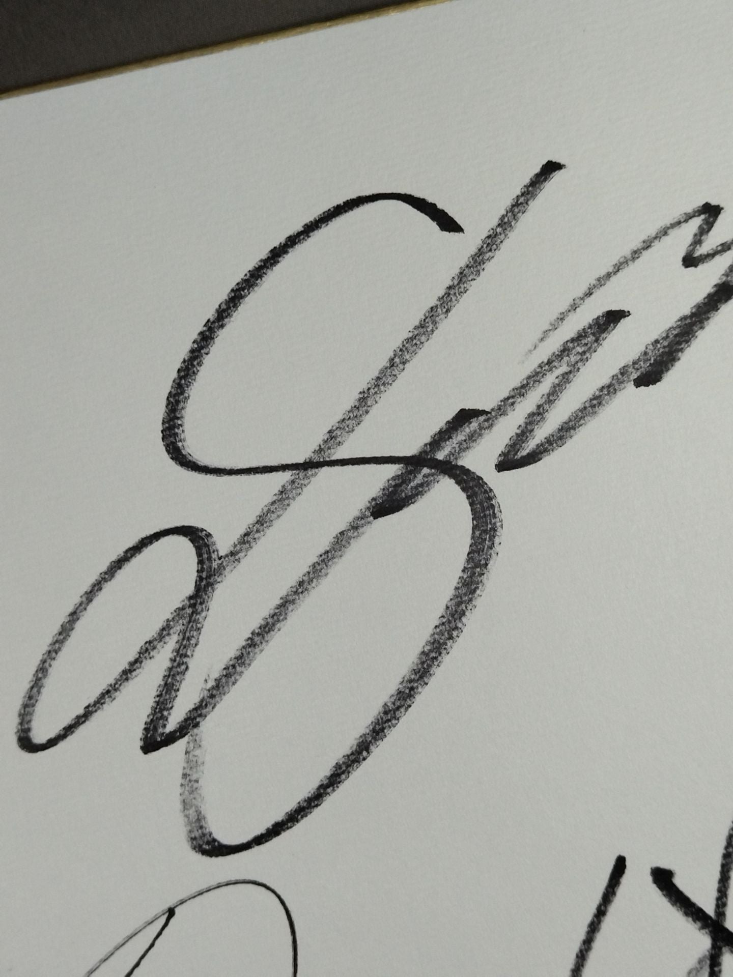 ★海賊姫が往く★ カイリ・セイン＆風香＆愛川ゆず季