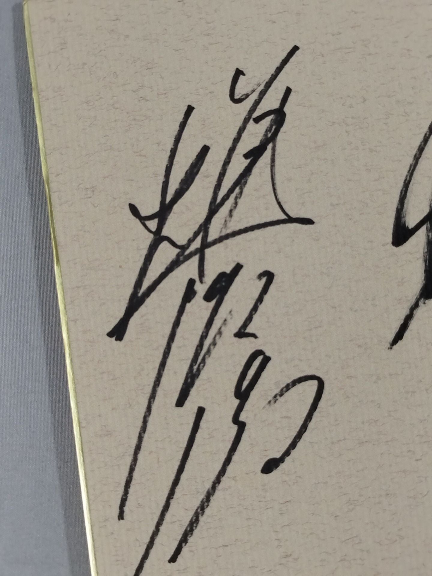 ★ジャングルジャック21 自主興行 秘境探検★ 5選手 寄せ書き(ブロマイド貼付)