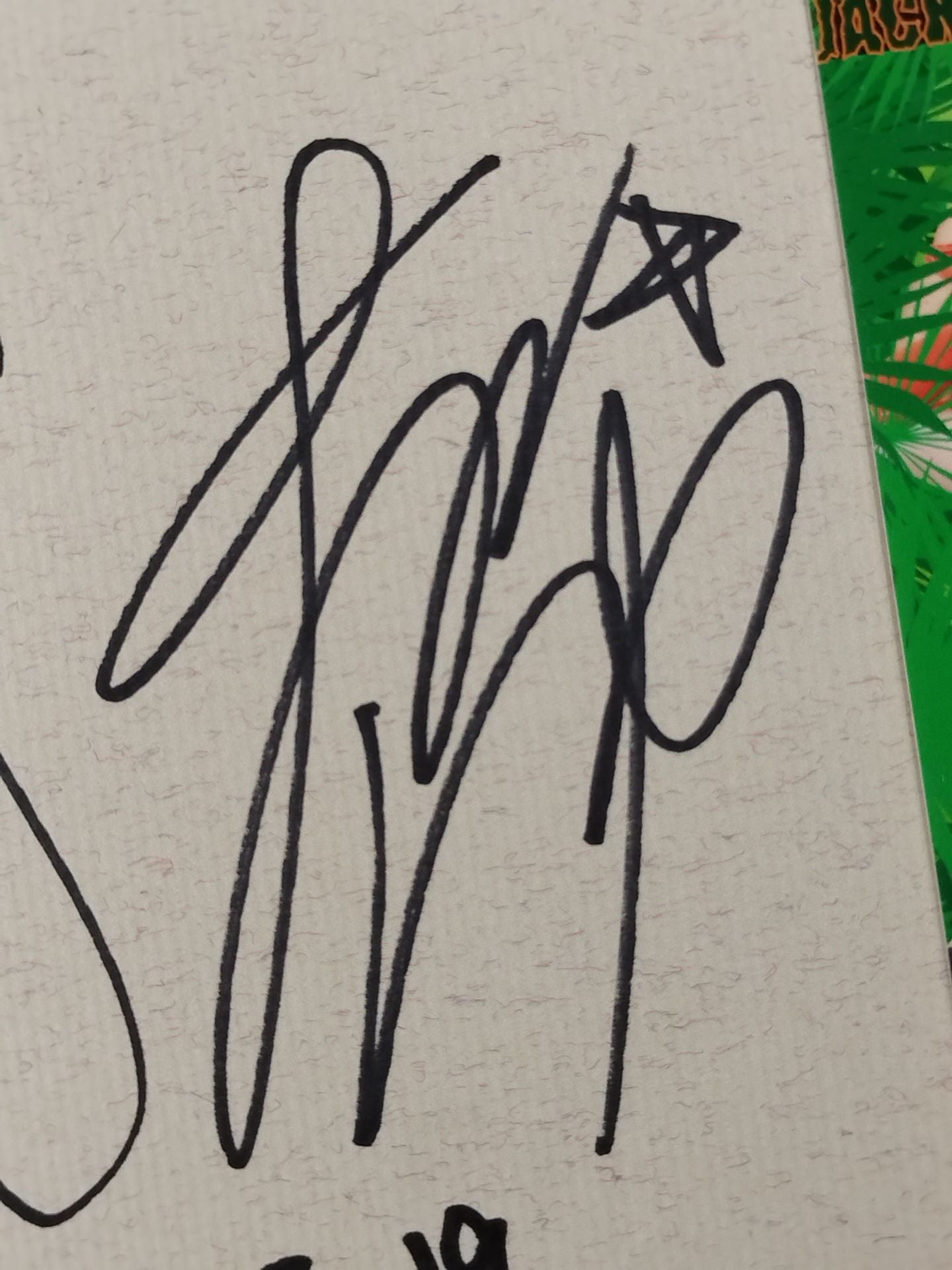 ★ジャングルジャック21 自主興行 秘境探検★ 5選手 寄せ書き(ブロマイド貼付)