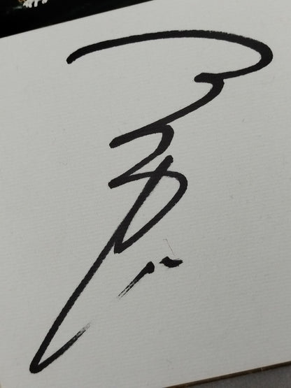 ★夢魔(サキュバス)★ アイガー＆沖野小百合(ブロマイド貼付)