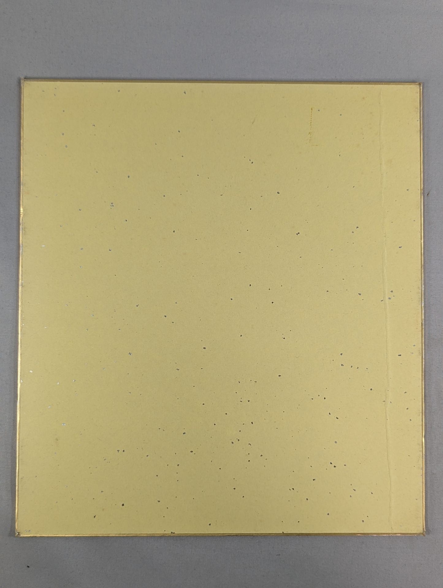 浜田文子＆ソチ浜田