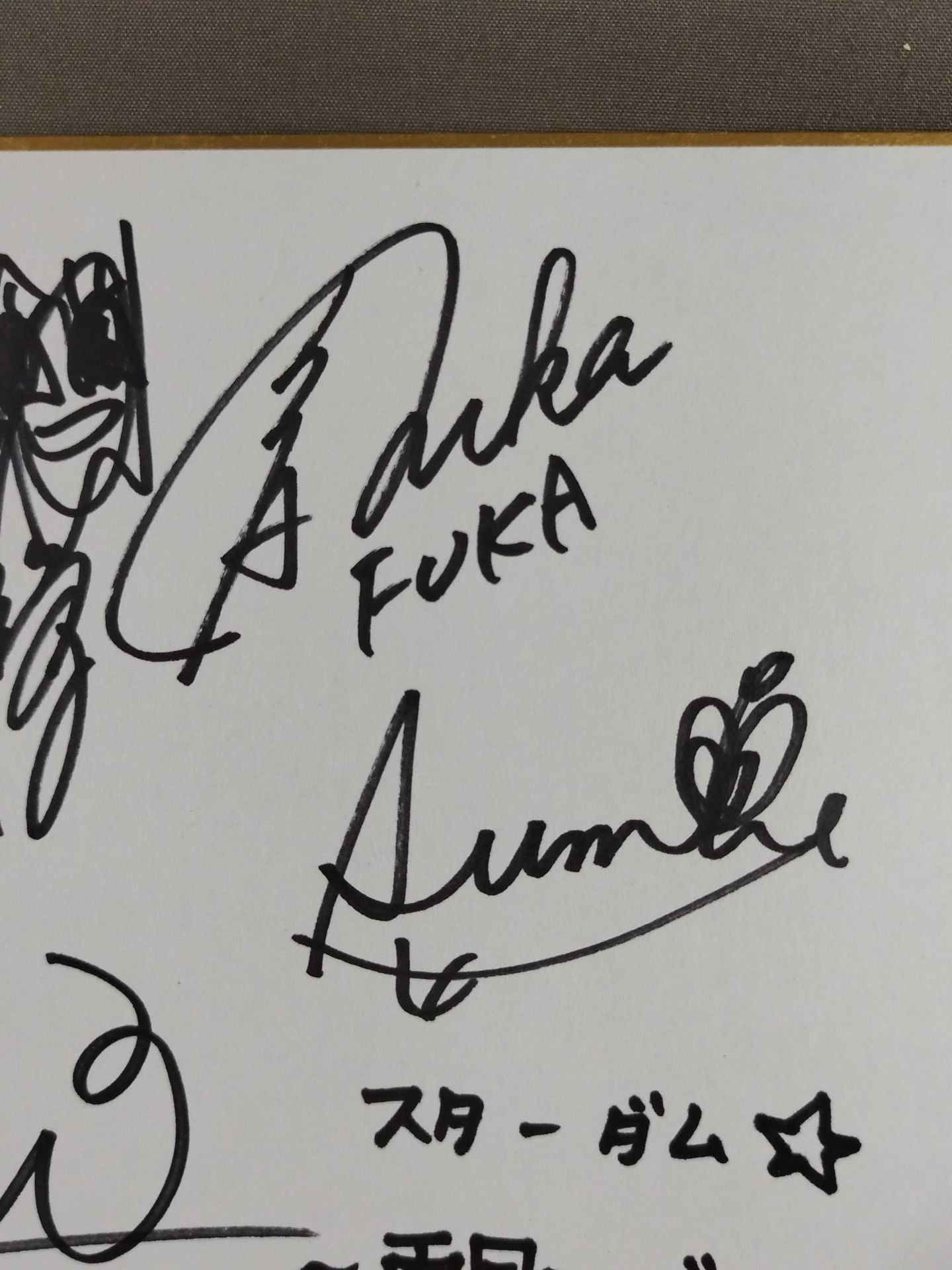 ★スターダム～両国シンデレラ～★ 出場17選手 寄せ書き