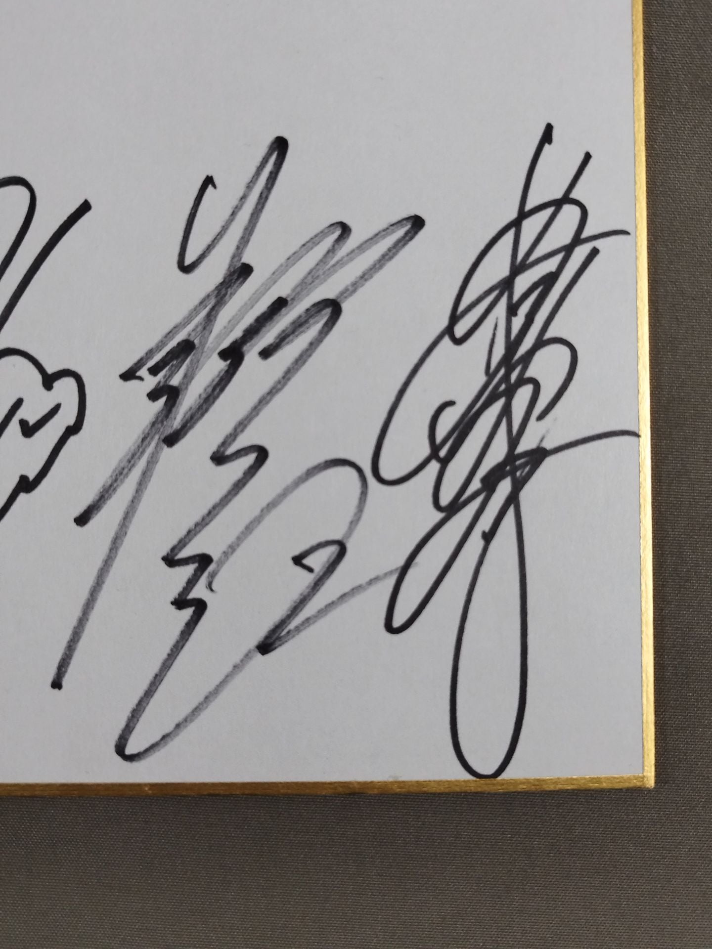 ★スターダム～両国シンデレラ～★ 出場17選手 寄せ書き