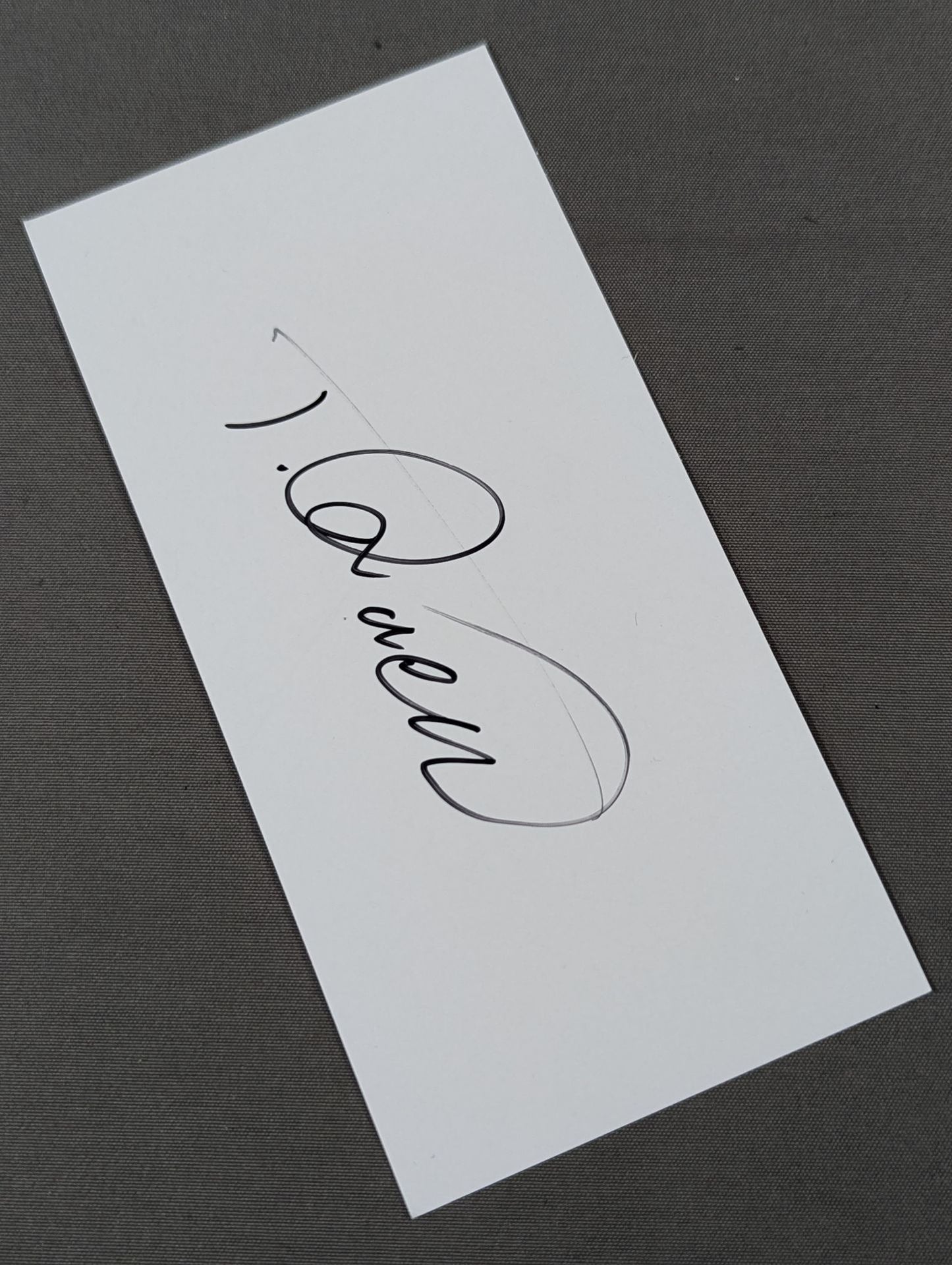 タイガークイーン(厚紙)