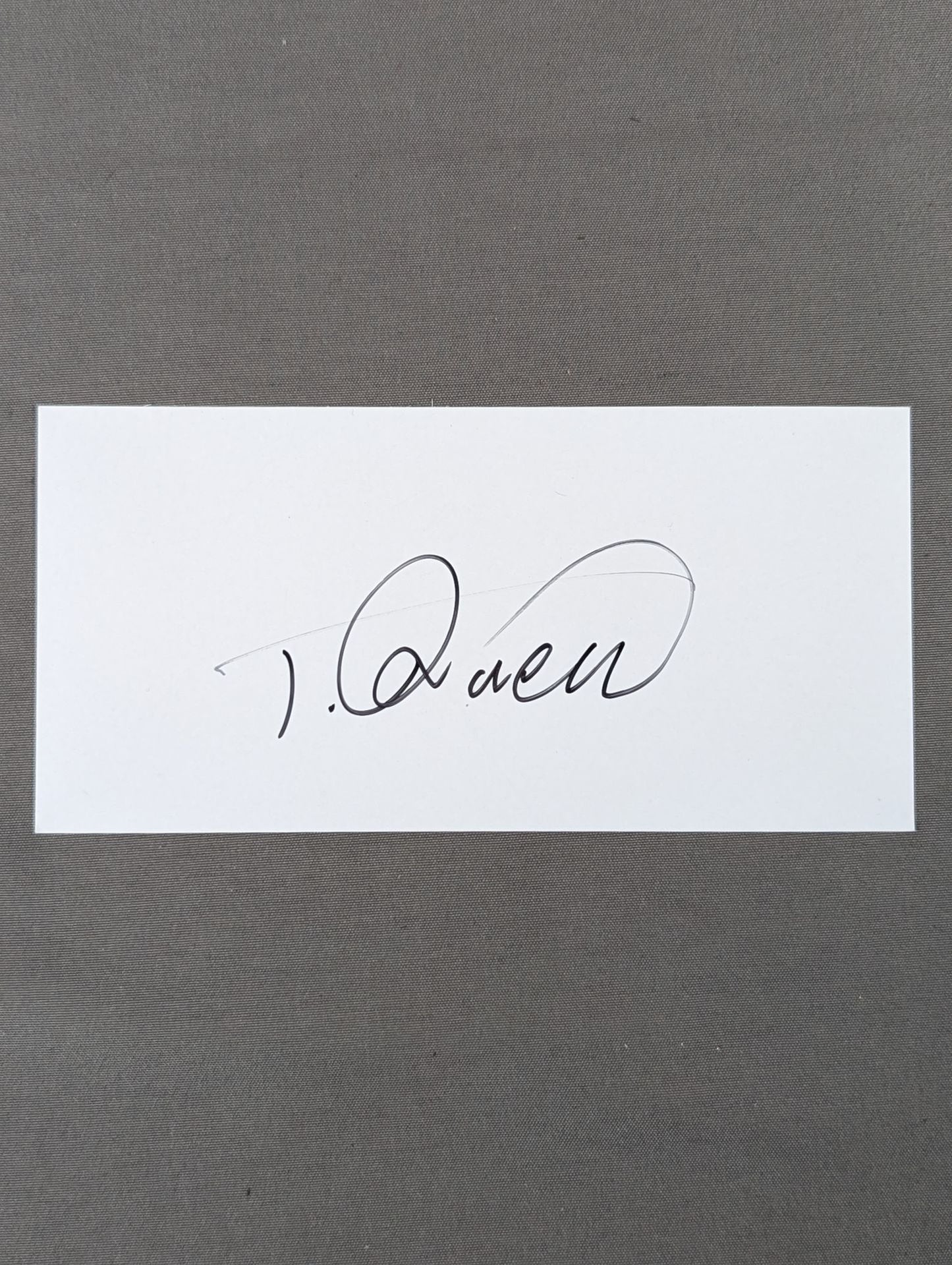 タイガークイーン(厚紙)