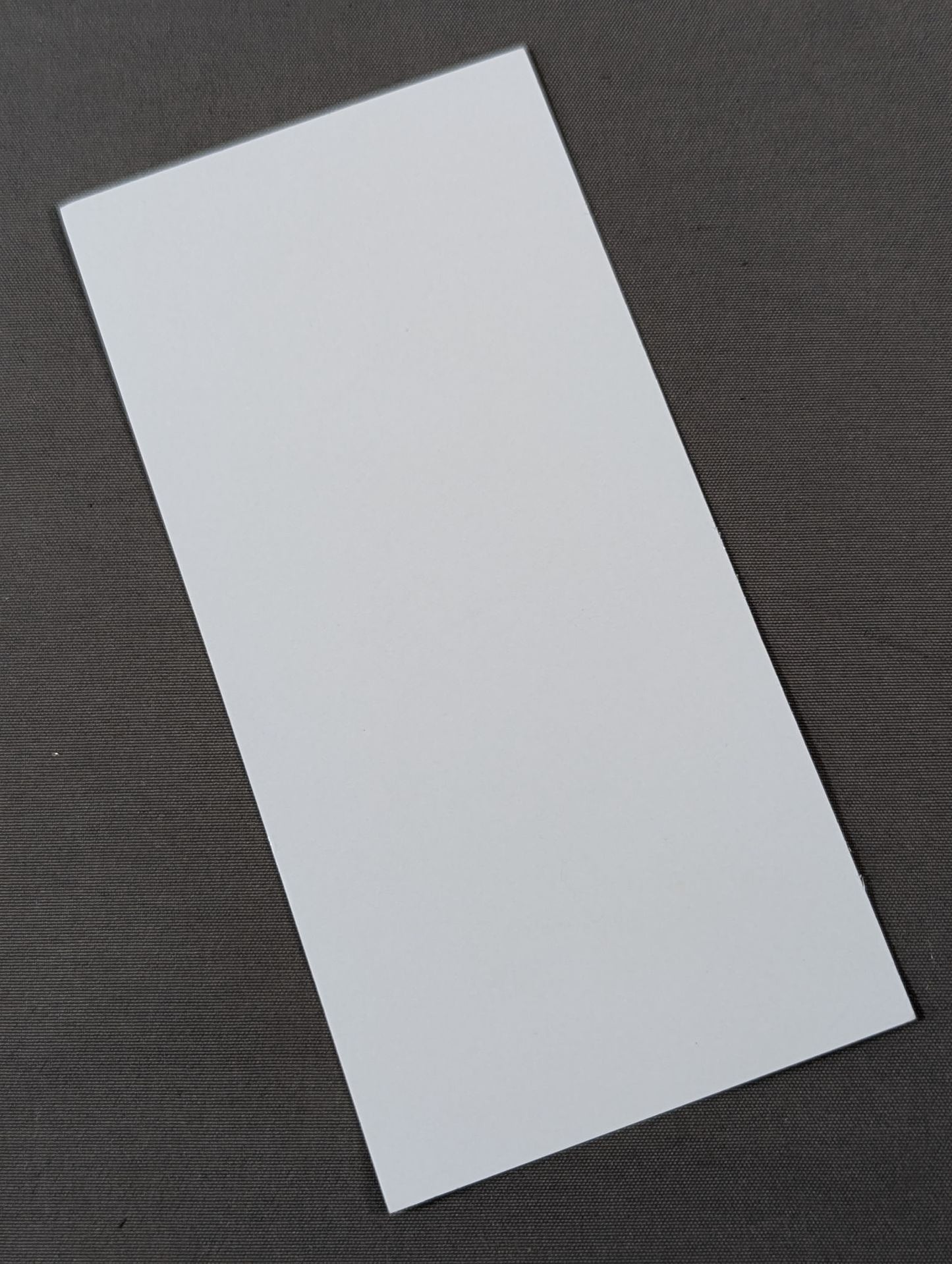 タイガークイーン(厚紙)