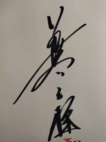 長与千種(BMG厚紙)