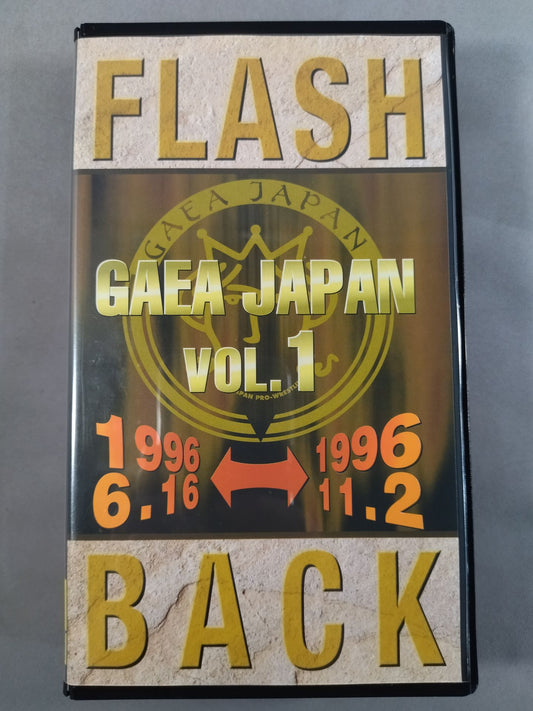フラッシュバック オブ ガイアジャパン Vol.1 1996.6.16～1996.11.2