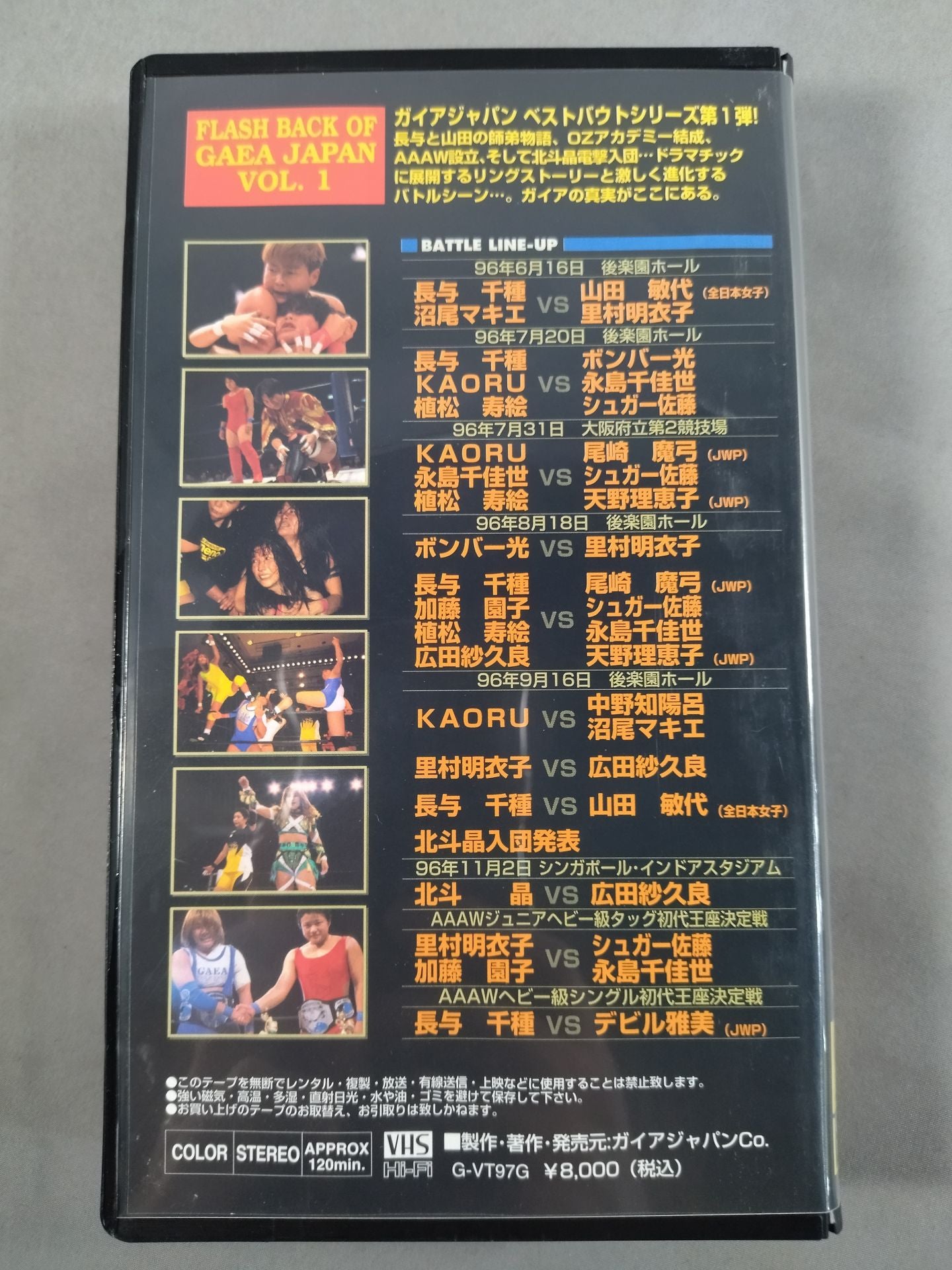 フラッシュバック オブ ガイアジャパン Vol.1 1996.6.16～1996.11.2
