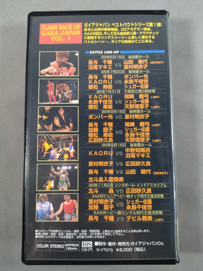 フラッシュバック オブ ガイアジャパン Vol.1 1996.6.16～1996.11.2
