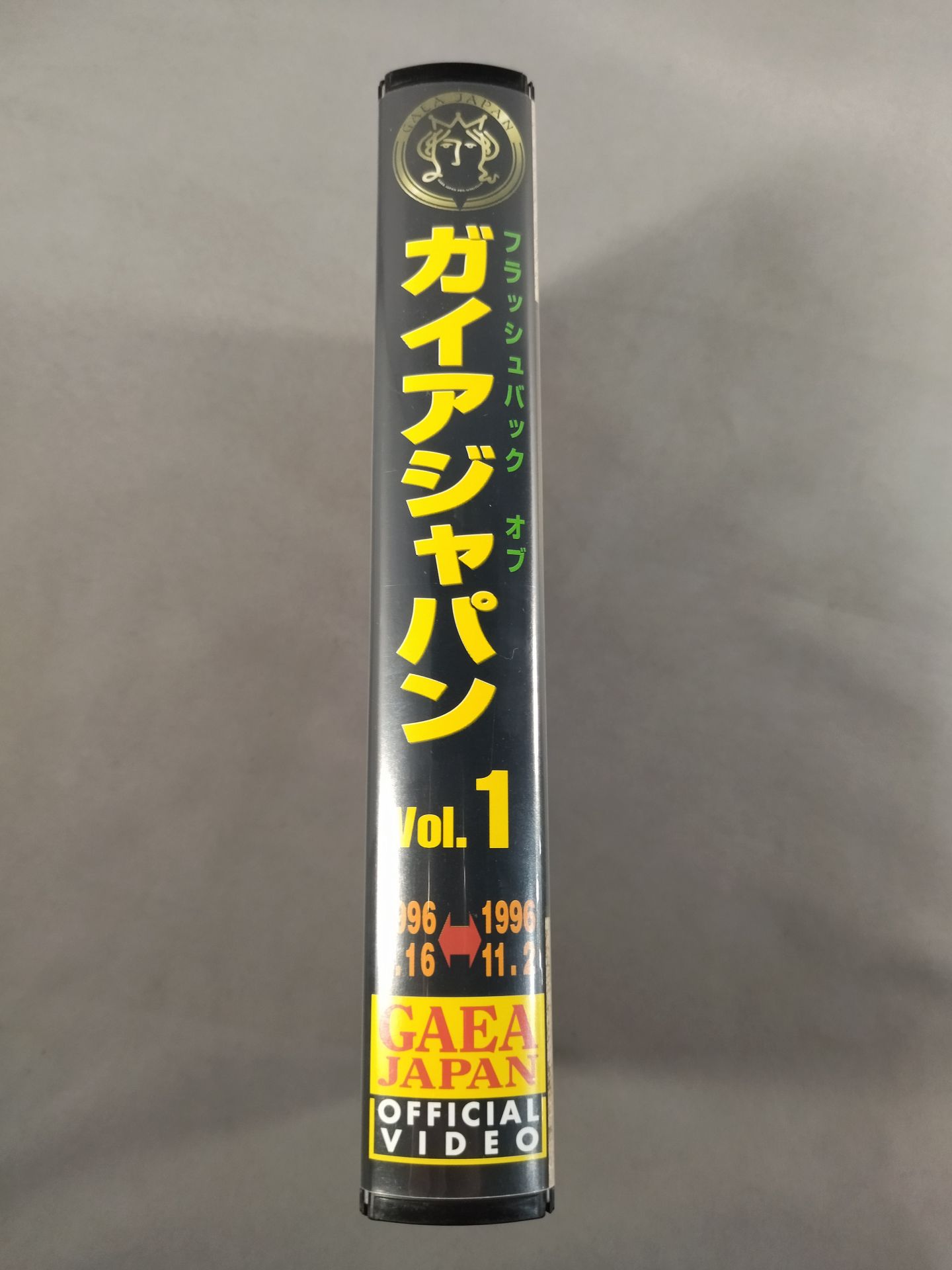 フラッシュバック オブ ガイアジャパン Vol.1 1996.6.16～1996.11.2